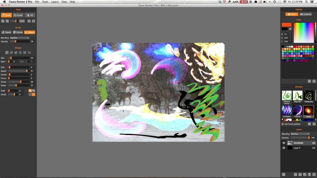 flame painter crack flame painter crack