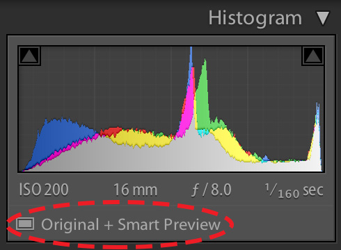 Smart-Preview