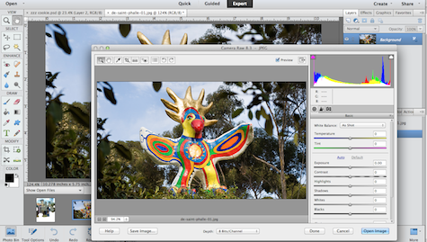 Open Camera Raw
