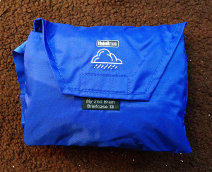 Tidy pouch which hides…