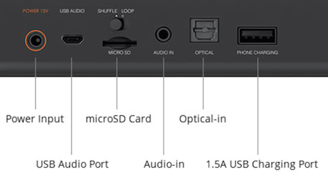 iRoar rear panel