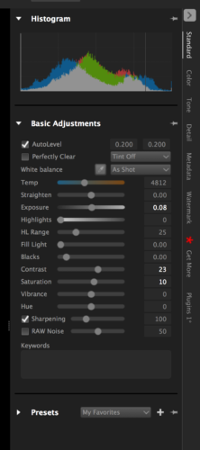 adjustmentstandard