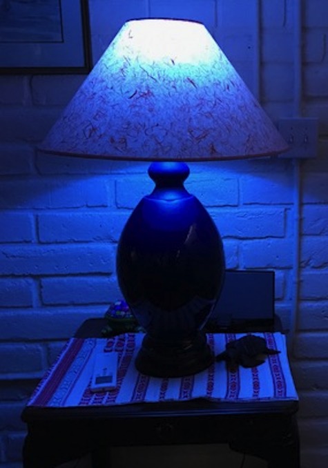 blue-lamp-revogi